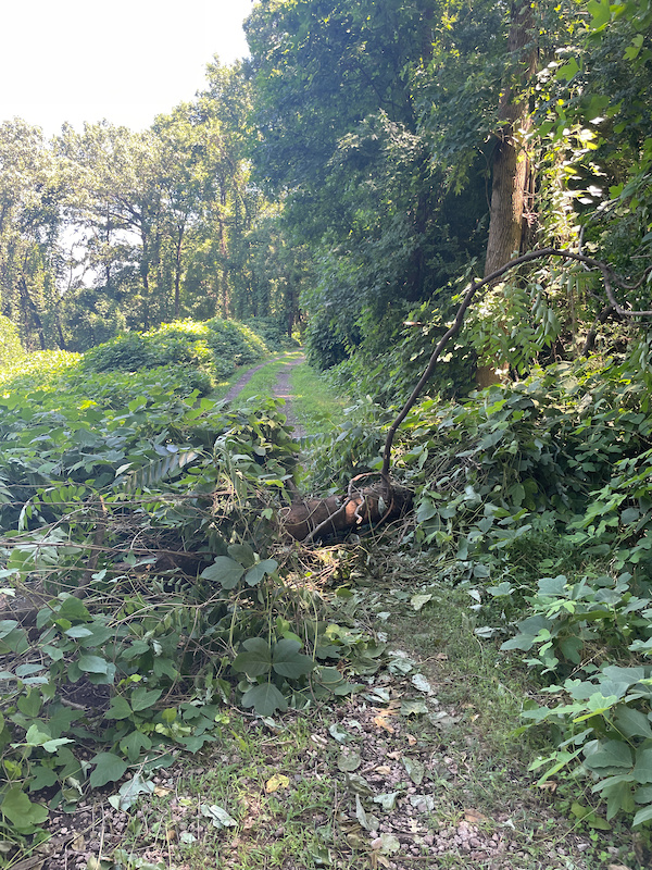 Wenonah Connector Multi Trail Birmingham, Alabama