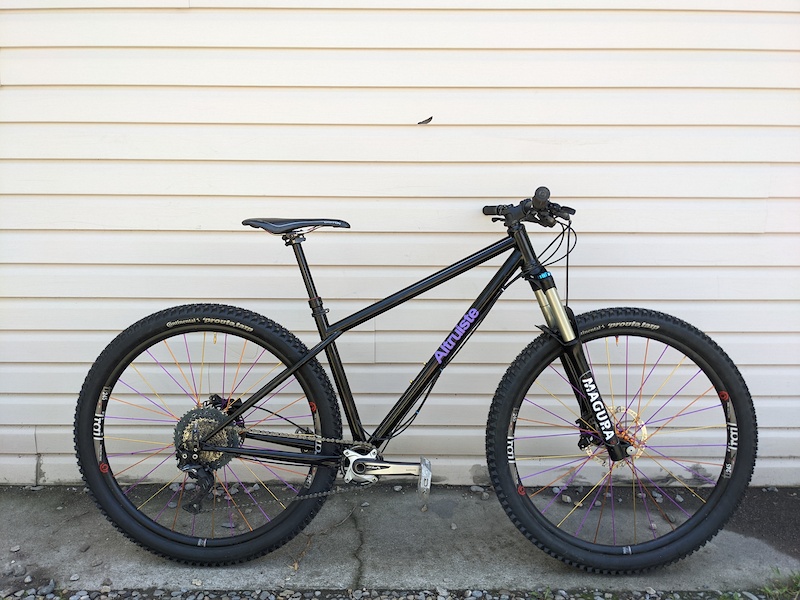 best steel hardtail 29er
