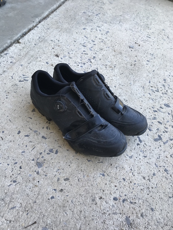 bontrager foray 2020