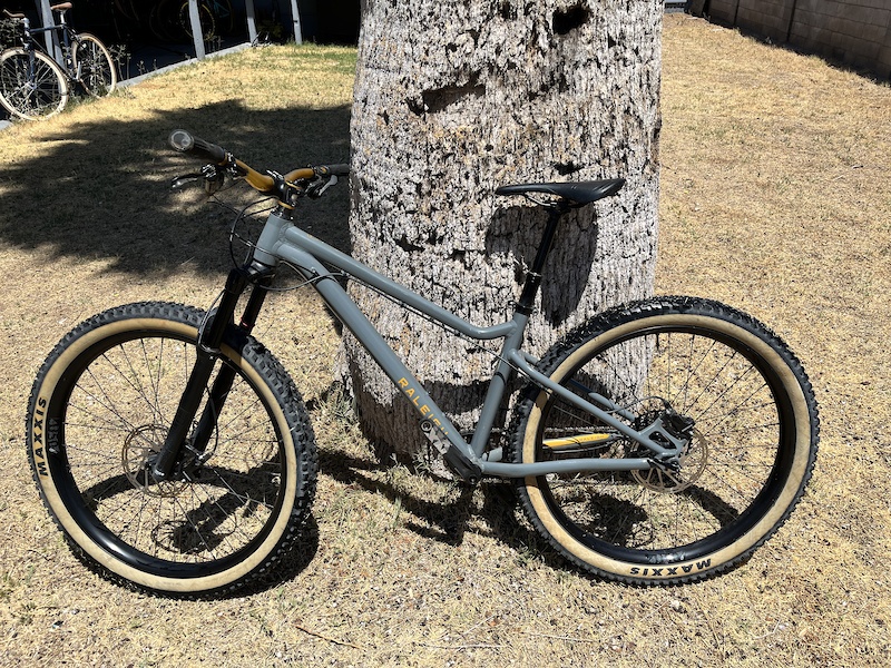 2020 Raleigh Tokul 3 For Sale