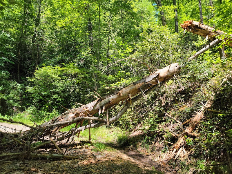 Jun 20, 2022 Yellow Gap Road Trail Report Trailforks
