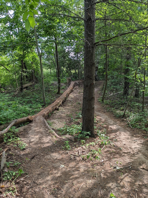 puslinch mountain bike trails