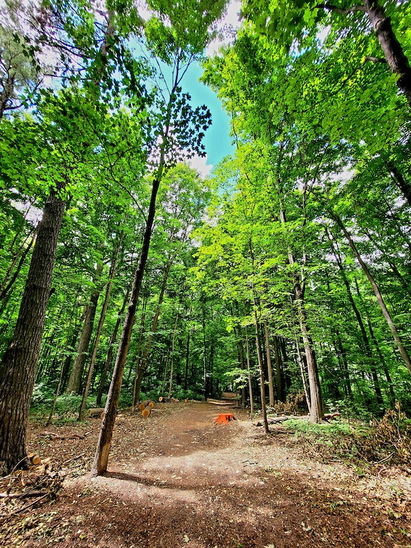 Windrush Woods Main Trail Hiking Trail Mississauga