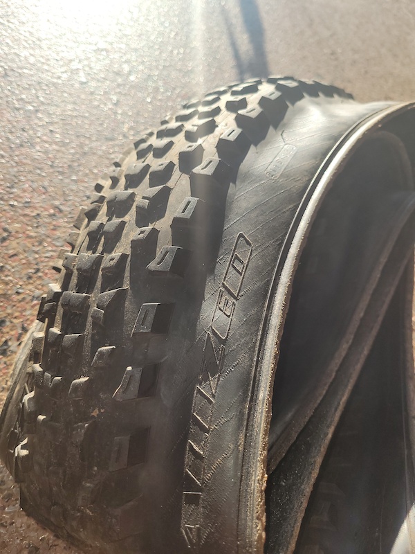 purgatory mtb tire