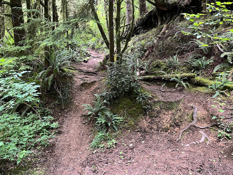 RDW1-Leghorn Mountain Biking Route | Trailforks