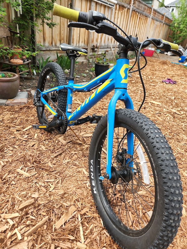 Scott scale jr 20 online plus kids bike 2018