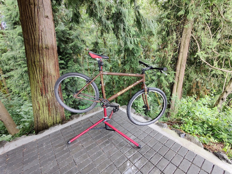 bianchi single speed mountain bike