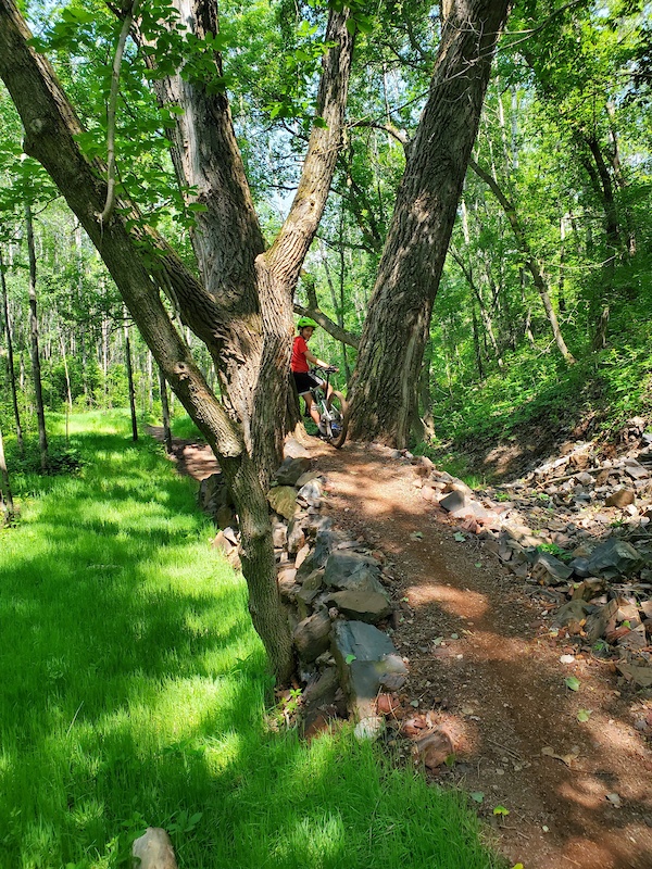 Bison Run Mountain Biking Trail Crosby, Minnesota