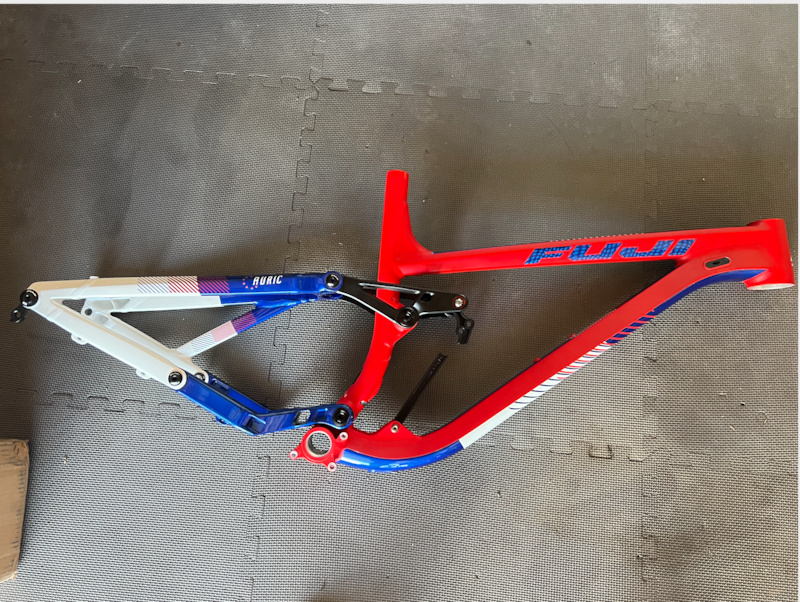fuji auric 2020