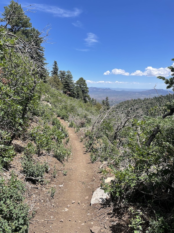 Challenge Trail Extension Multi Trail Albuquerque