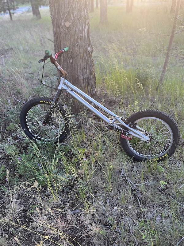 Echo Trials Bike For Sale