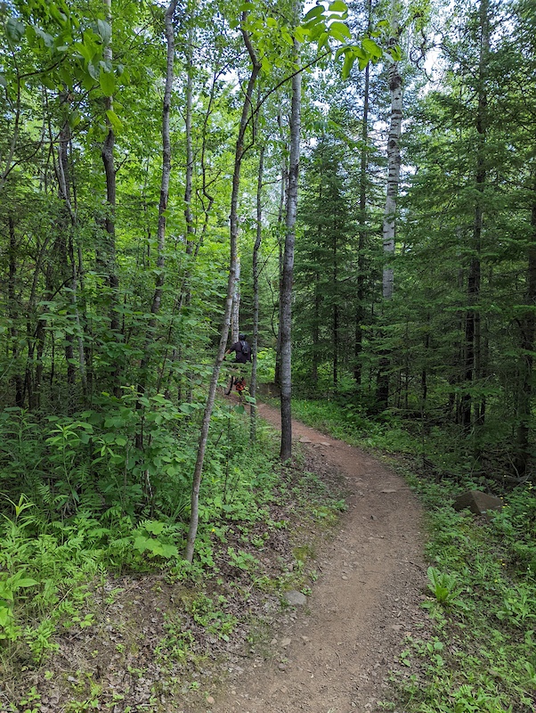 Morningside Mountain Biking Trail Duluth, MN