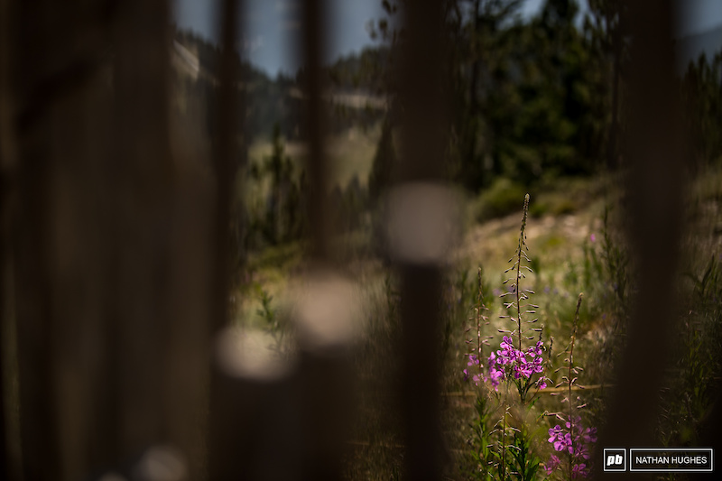 In vallnord andorra photo by nathanhughes pinkbike