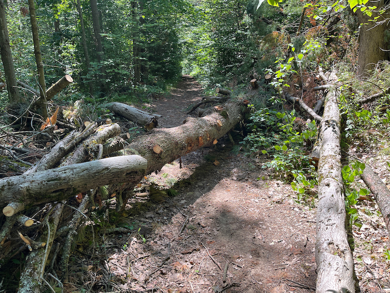 Walker Woods Access Trail Multi Trail - Uxbridge, Ontario