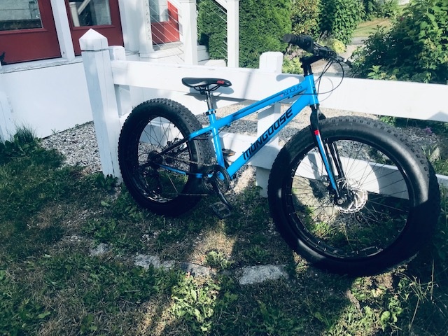 Mongoose argus best sale fat tire bike