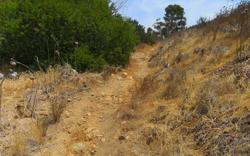 Tight downhill section.