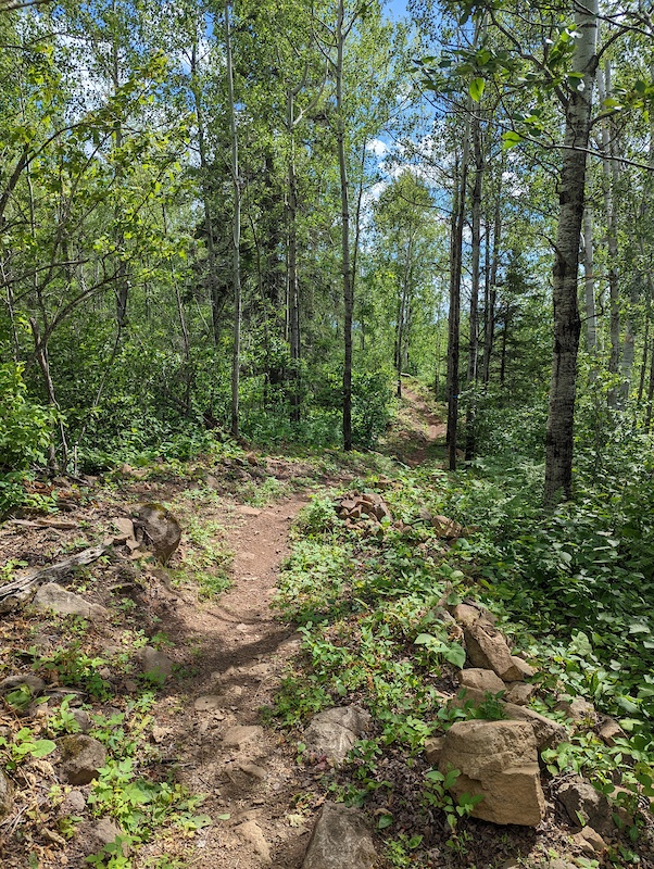 Rufus Mountain Biking Trail Two Harbors, Minnesota
