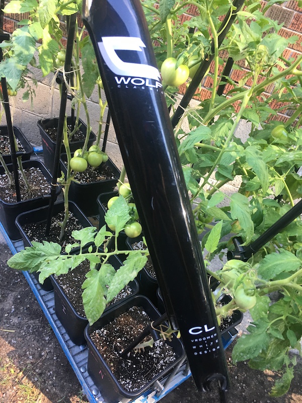 Carbon Fork For Sale