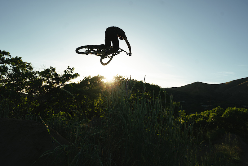 Movies For Your Monday - Pinkbike - Vimarsana News