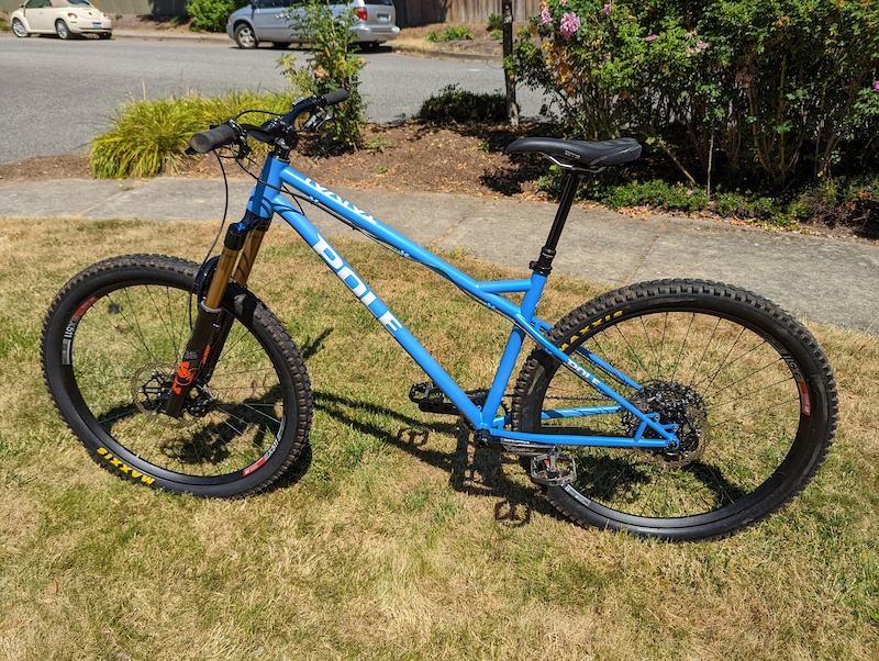 steel hardtail 2020