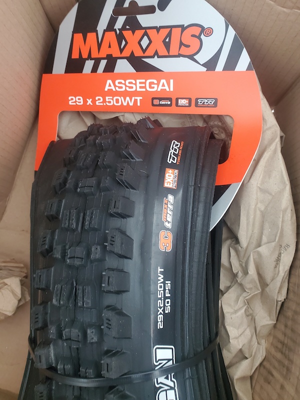 maxxis assegai maxx terra