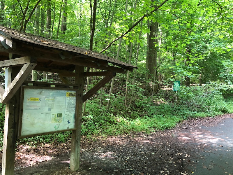 Carrleigh Parkway Trail Mountain Biking Trail Springfield