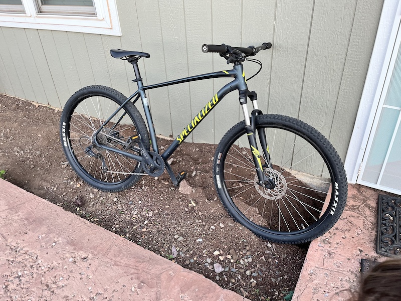 Specialized rockhopper best sale 2019 price