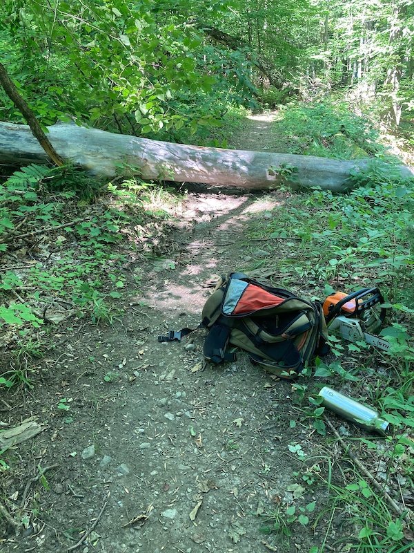 Trail Mountain Biking Trail Hinesburg, Vermont