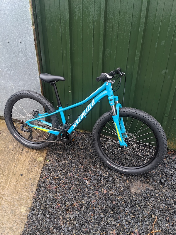 specialized roubaix bib shorts