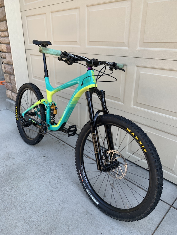 giant reign custom paint