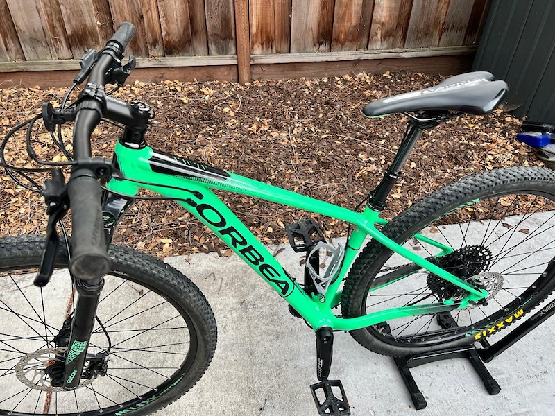 Orbea discount alma 2019