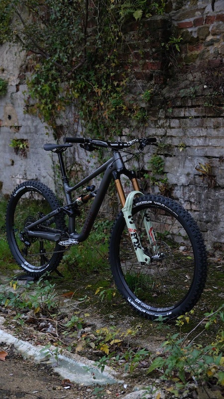 specialised status 2021