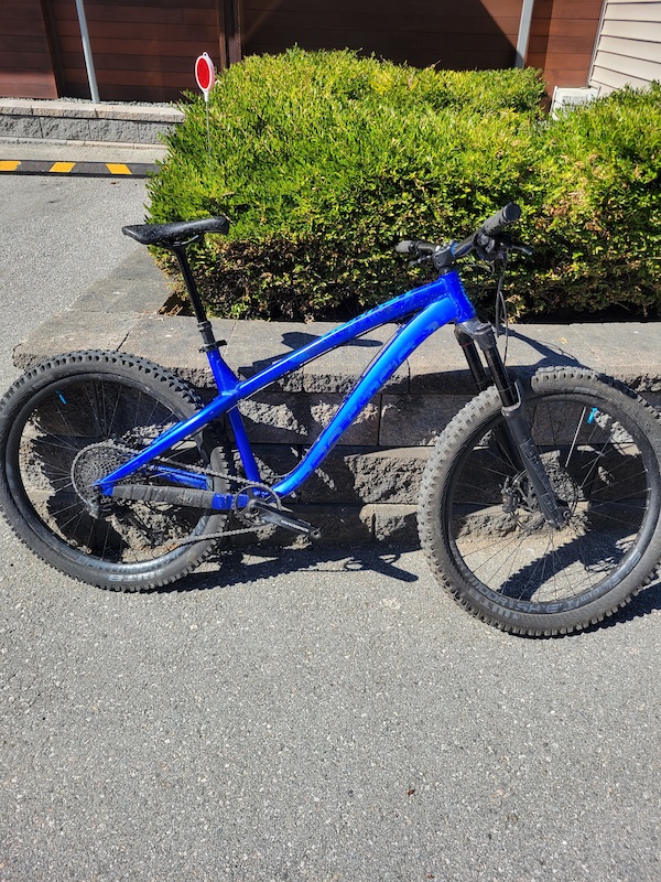 2020 dartmoor hornet