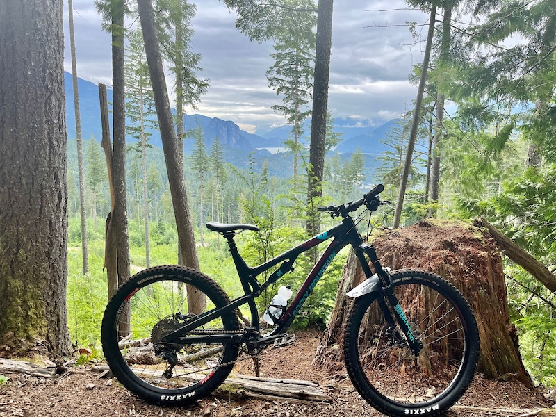 2018 Rocky Mountain Altitude For Sale