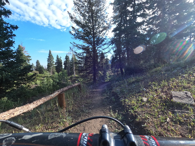 Scandinavian Mountain Biking Trail Ephraim, Utah