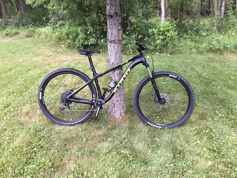 kona honzo hardtail