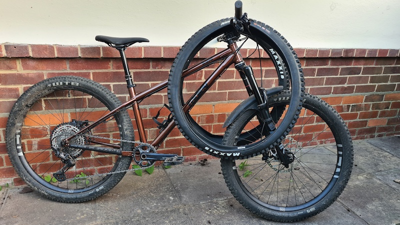 2019 ragley blue pig