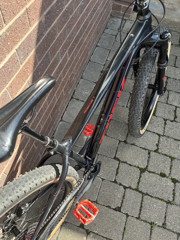 Trek roscoe 7 2019 deals for sale