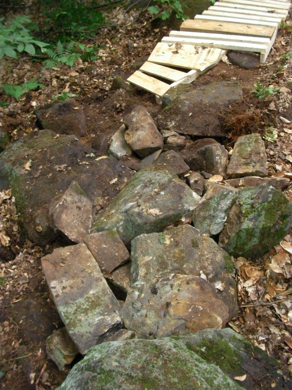 The new rock garden and the exit (the wood)