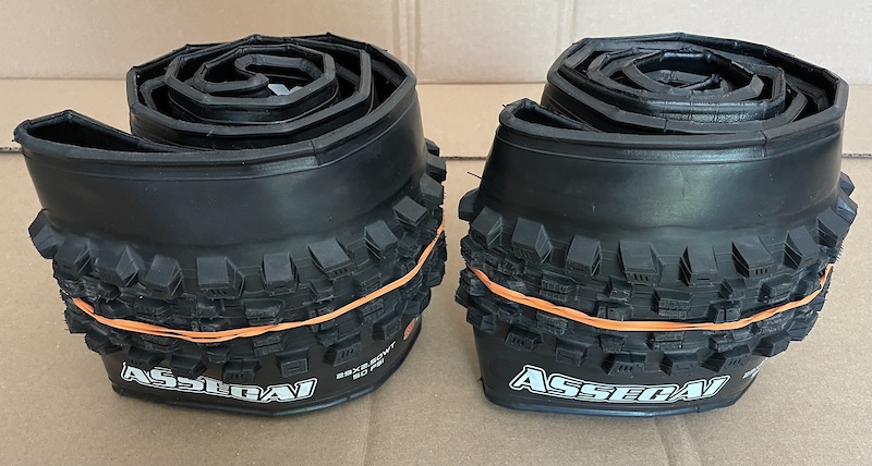maxxis assegai maxx terra