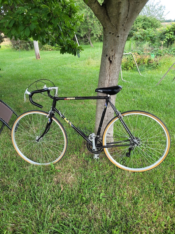 fuji arcadia road bike