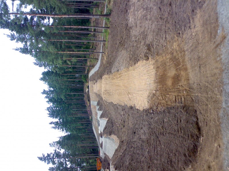 New Jumps being built, surrouning area will have trails.