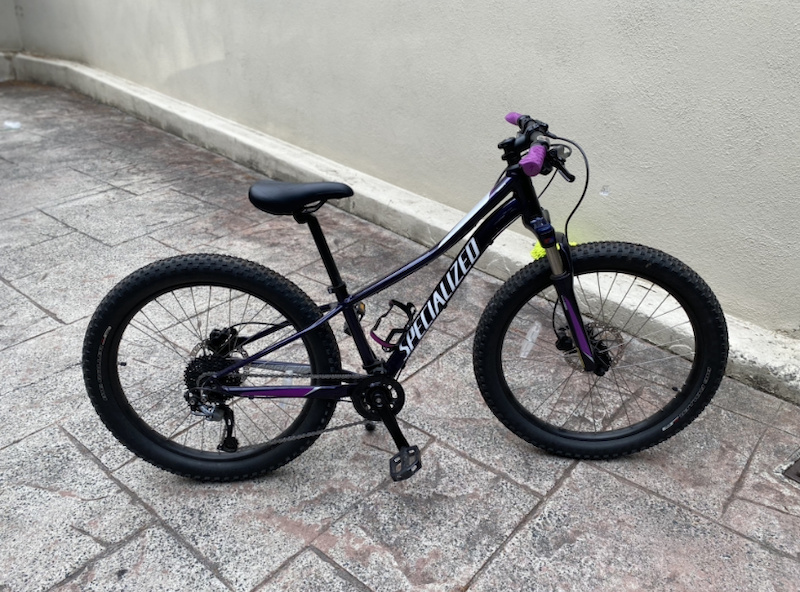 specialized enduro purple