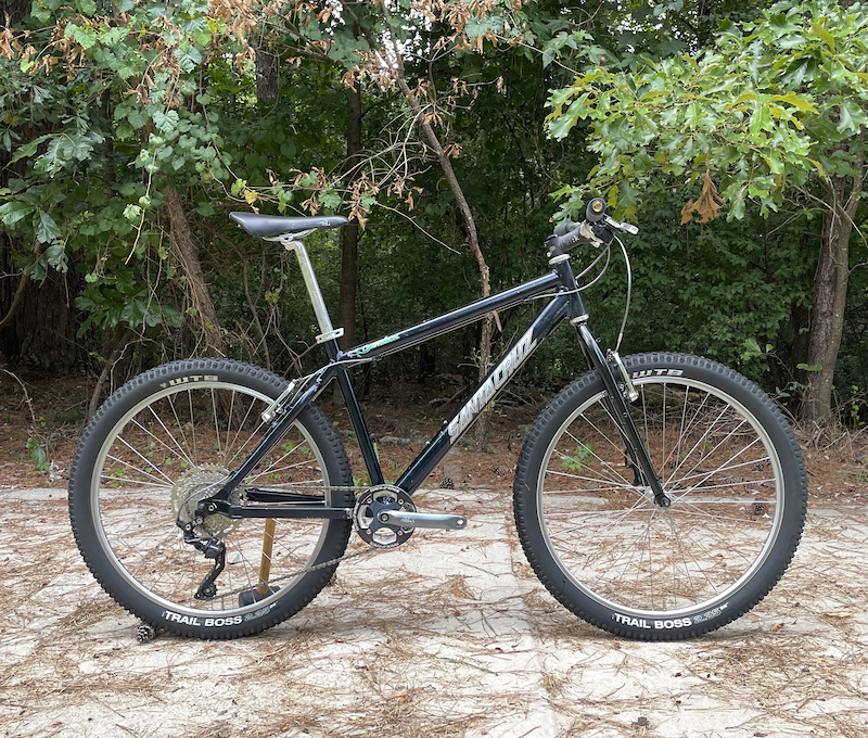 used santa cruz chameleon for sale