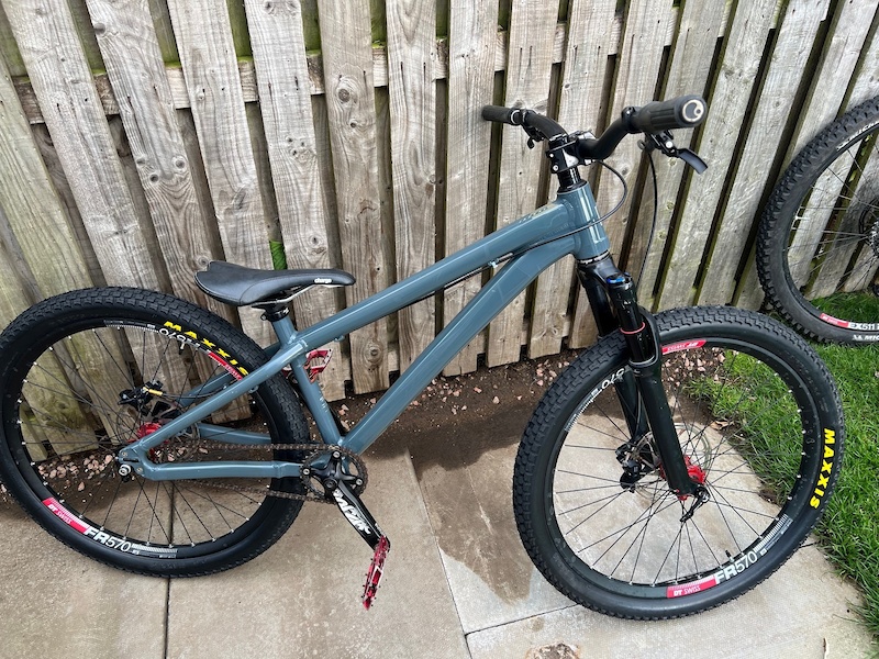 santa cruz jackal for sale