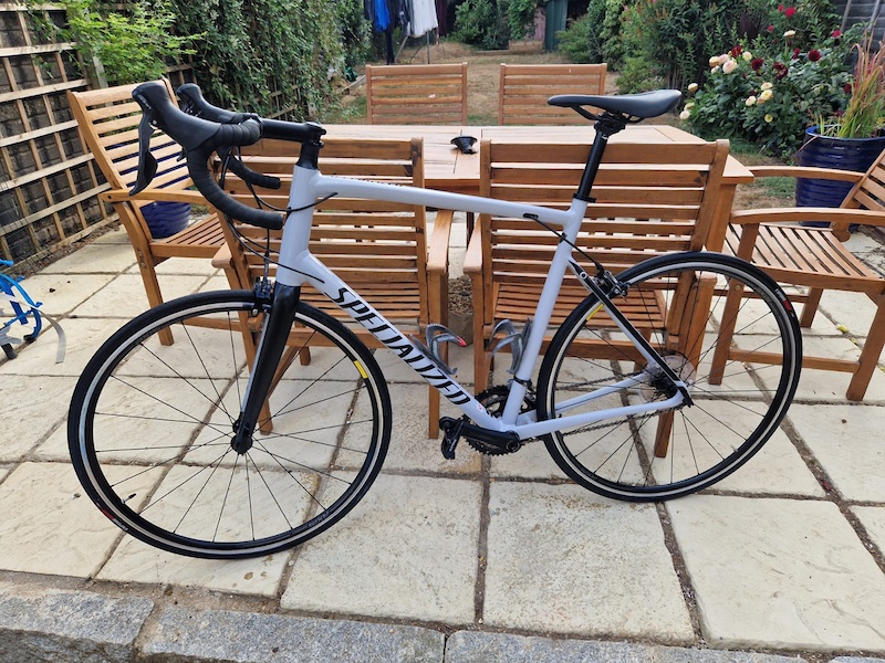 specialized xl road bike