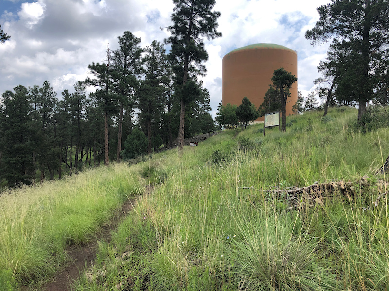Cedar Creek Traverse Mountain Biking Trail Ruidoso