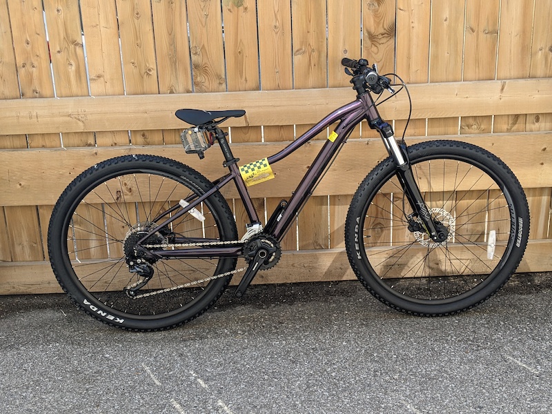 scott contessa active 40 review