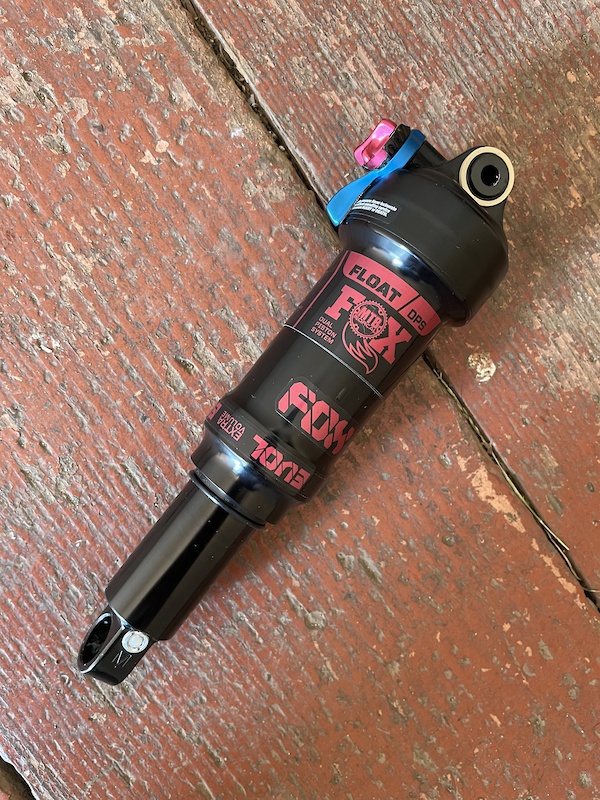 ladies all around saddle