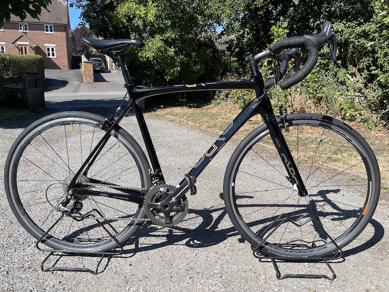 Orro Gold Carbon Road Bike Campagnolo Chorus Carbon For Sale